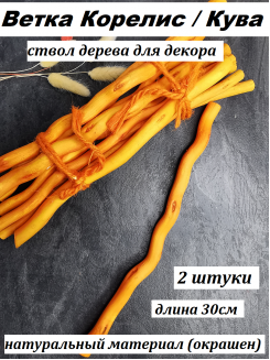 Ветка Корелис/Кува, 30см (оранжевый), 2штуки